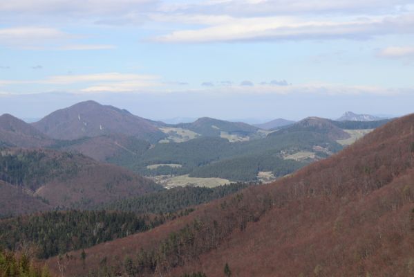 Malé Ledenice, 17.4.2019
Strážovské vrchy, pohled z vrchu Dúpna na Súľovské skaly.
Keywords: Malé Ledenice Strážovske vrchy vrch Dúpna