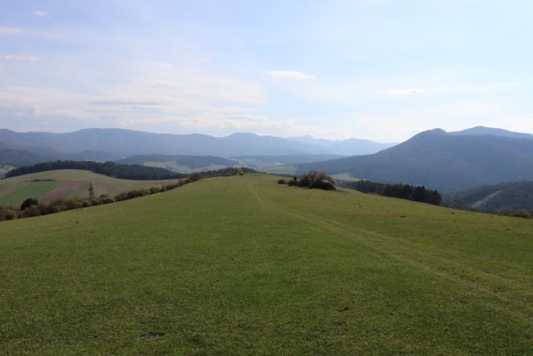 Malé Ledenice, 17.4.2019
Pastvina nad obcí pod vrchem Dúpna.
Mots-clés: Malé Ledenice Strážovske vrchy pastvina