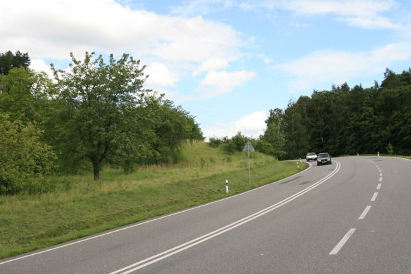 Svatý Mikuláš - Malejov, 20.7.2009
Rozsáhlý sad u silnice na Vysoké Mýto. 
Schlüsselwörter: Svatý Mikuláš Malejov Anthaxia candens