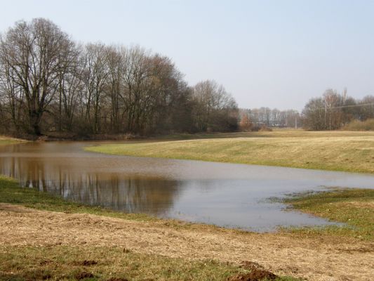 Opatovice-Bukovina, meandr Labe, 10.3.2008
Zatopené louky u mostu.
Klíčová slova: Opatovice Bukovina meandr zátopové louky