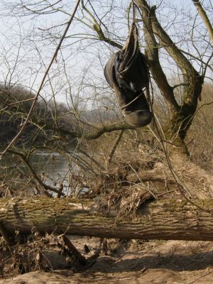 Opatovice-Bukovina, meandr Labe, 10.3.2008
Voda je živel. Jednomu vezme, jinému dá...
Klíčová slova: Opatovice Bukovina meandr Labe bota