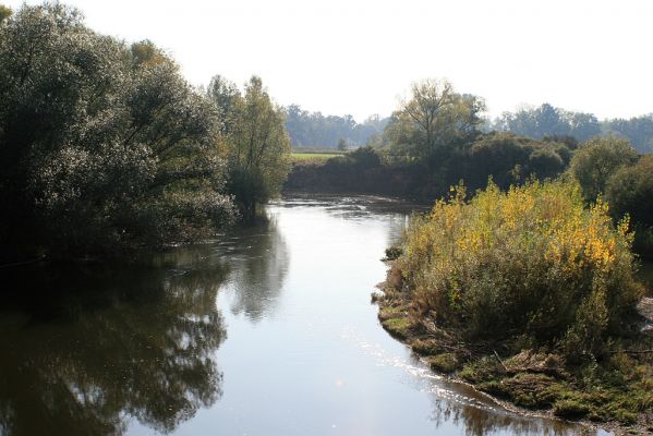 Opatovice-Bukovina, meandr Labe, 16.10.2007
Labe v barvách pozimu. Pohled z mostu u elektrárny.
Schlüsselwörter: Opatovice Bukovina meandr Labe