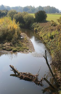 Opatovice-Bukovina, meandr Labe, 16.10.2007
Podrim na Labi. V pozadí lesní porosty Tůně.
Keywords: Opatovice Bukovina meandr Labe ostrov