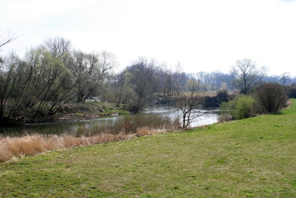 Opatovice-Bukovina, meandr Labe, 6.4.2007
Labský meandr.
Schlüsselwörter: Opatovice Bukovina meandr Labe