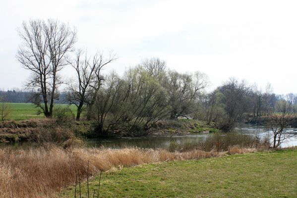 Opatovice-Bukovina, meandr Labe, 6.4.2007
Meandrující Labe.
Schlüsselwörter: Opatovice Bukovina meandr Labe