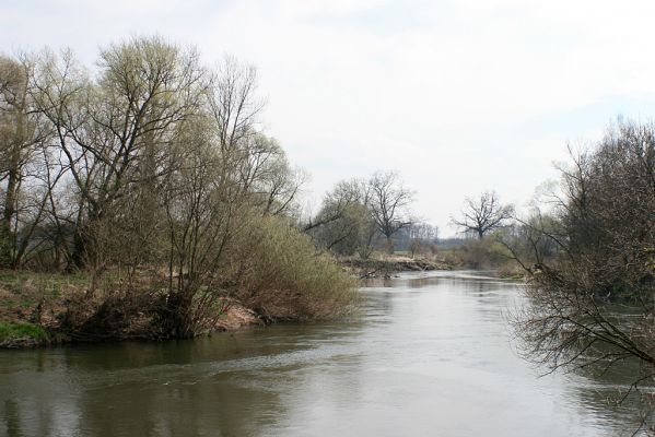 Opatovice-Bukovina, meandr Labe, 6.4.2007
Labský meandr.
Schlüsselwörter: Opatovice Bukovina meandr Labe