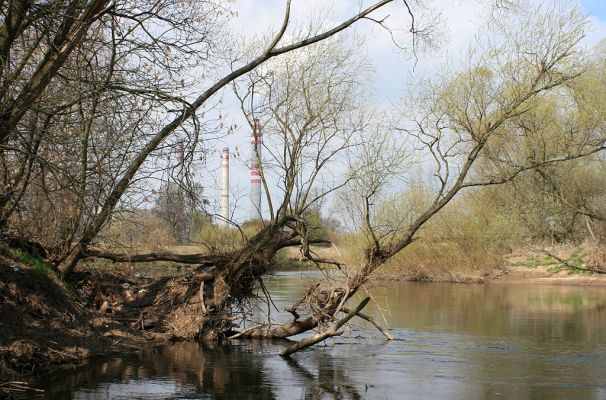 Opatovice-Bukovina, meandr Labe, 6.4.2007
Nespoutaná řeka a opatovická elektrárna. 
Mots-clés: Opatovice Bukovina meandr Labe elektrárna