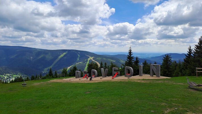 Špindlerův Mlýn, 29.5.2024
Medvědín, horní část sjezdovky.
Keywords: Krkonoše Špindlerův Mlýn Bedřichov Medvědín