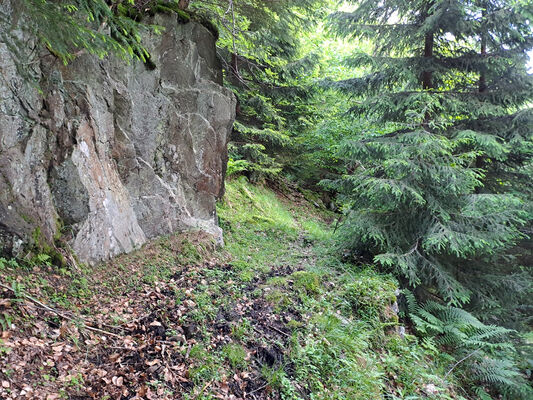 Špindlerův Mlýn, 29.5.2024
Medvědín, Dívčí stráň.
Schlüsselwörter: Krkonoše Špindlerův Mlýn Bedřichov Medvědín Dívčí stráň Sericus subaeneus