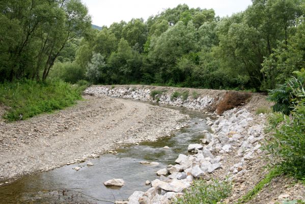 Medzilaborce, 5.7.2014
Meandry Laborce - regulace toku.

Klíčová slova: Medzilaborce řeka Laborec