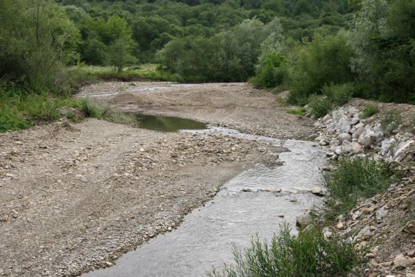 Medzilaborce, 5.7.2014
Meandry Laborce - regulace toku.



Klíčová slova: Medzilaborce řeka Laborec