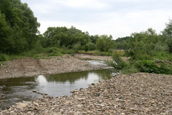 Medzilaborce, 5.7.2014
Meandry Laborce.



Klíčová slova: Medzilaborce řeka Laborec Adrastus pallens kryshtali