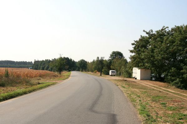 Mělice, 19.9.2009
Solitérní třešně u silnice u Mělického písníku.
Klíčová slova: Mělice Anthaxia candens