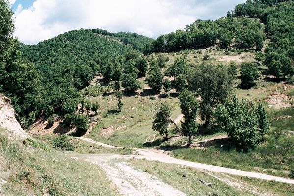 Sugarevo, 6.6.2006
Údolí pod Pirinem.
Mots-clés: Sugarevo Pirin