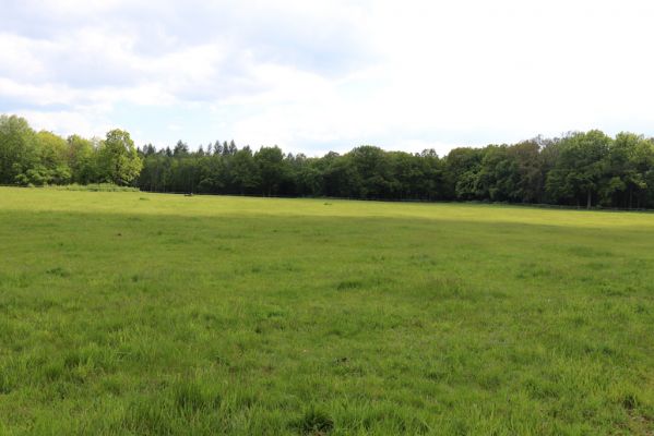Měník, 17.5.2019
Pastvina.
Klíčová slova: Měník pastvina