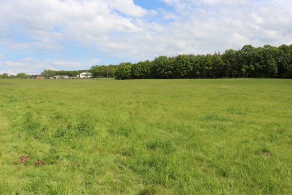Měník, 17.5.2019
Pastvina.
Klíčová slova: Měník pastvina
