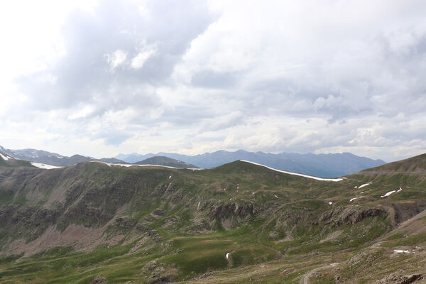 Saint-Dalmas-le-Selvage, 19.6.2023
Alpes Maritimes, Caire Brun - Antécime Est (2812 m).
Keywords: Saint-Dalmas-le-Selvage Alpes Maritimes