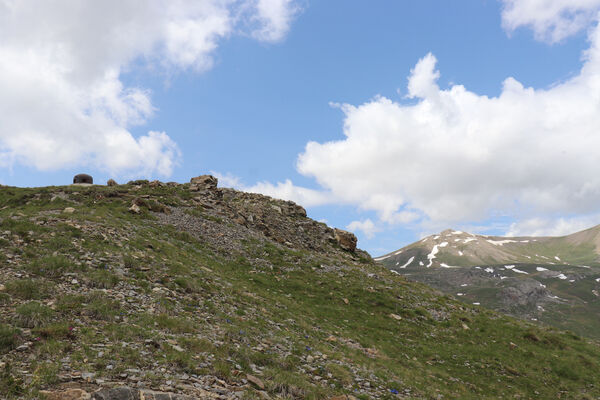 Saint-Dalmas-le-Selvage, 19.6.2023
Alpes Maritimes, Col de Raspaillon - Cime de Vermillon.
Mots-clés: Saint-Dalmas-le-Selvage Alpes Maritimes Col de Raspaillon Cime de Vermillon