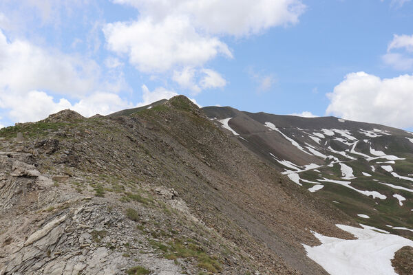 Saint-Dalmas-le-Selvage, 19.6.2023
Alpes Maritimes, Col de Raspaillon - Cime de Vermillon.
Keywords: Saint-Dalmas-le-Selvage Alpes Maritimes Col de Raspaillon Cime de Vermillon