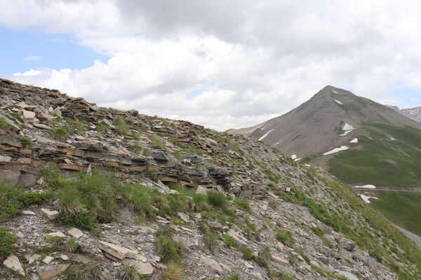 Saint-Dalmas-le-Selvage, 19.6.2023
Alpes Maritimes, Col de Raspaillon - Cime de Vermillon. Pohled na Cime de Voga (2777 m).
Klíčová slova: Saint-Dalmas-le-Selvage Alpes Maritimes Col de Raspaillon Cime de Vermillon Anostirus gabilloti