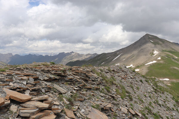 Saint-Dalmas-le-Selvage, 19.6.2023
Alpes Maritimes, Col de Raspaillon - Cime de Vermillon. Pohled na Cime de Voga (2777 m).
Mots-clés: Saint-Dalmas-le-Selvage Alpes Maritimes Col de Raspaillon Cime de Vermillon Anostirus gabilloti