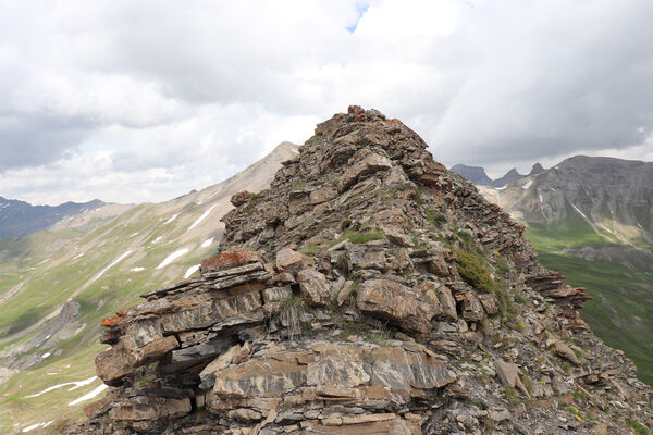 Saint-Dalmas-le-Selvage, 19.6.2023
Alpes Maritimes, Col de Raspaillon - Cime de Vermillon. Biotop kovaříků Anostirus gabilloti a Ctenicera virens.
Keywords: Saint-Dalmas-le-Selvage Alpes Maritimes Col de Raspaillon Cime de Vermillon Anostirus gabilloti Ctenicera virens