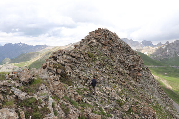 Saint-Dalmas-le-Selvage, 19.6.2023
Alpes Maritimes, Col de Raspaillon - Cime de Vermillon. Biotop kovaříků Anostirus gabilloti a Ctenicera virens.
Keywords: Saint-Dalmas-le-Selvage Alpes Maritimes Col de Raspaillon Cime de Vermillon Anostirus gabilloti Ctenicera virens Václav Dušánek