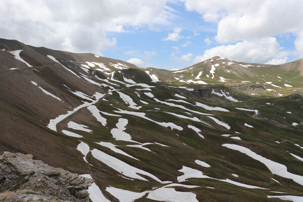 Saint-Dalmas-le-Selvage, 19.6.2023
Alpes Maritimes, Col de Raspaillon. pohled na Sommet de Restefond (2795 m)
Keywords: Saint-Dalmas-le-Selvage Alpes Maritimes Col de Raspaillon