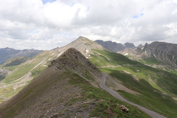 Saint-Dalmas-le-Selvage, 19.6.2023
Alpes Maritimes, Col de Raspaillon - Cime de Vermillon.
Mots-clés: Saint-Dalmas-le-Selvage Col de Raspaillon Cime de Vermillon Anostirus gabilloti Ctenicera virens