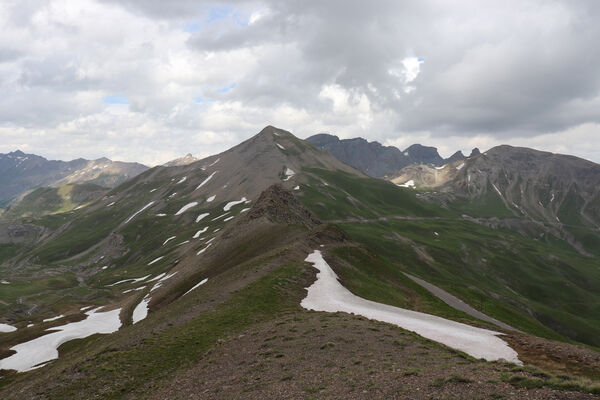 Saint-Dalmas-le-Selvage, 19.6.2023
Alpes Maritimes, Col de Raspaillon - Cime de Vermillon.
Schlüsselwörter: Saint-Dalmas-le-Selvage Col de Raspaillon Cime de Vermillon Anostirus gabilloti Ctenicera virens