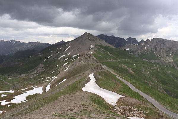 Saint-Dalmas-le-Selvage, 19.6.2023
Alpes Maritimes, Cime de Vermillon, Col de Raspaillon a Cime de Voga.
Klíčová slova: Saint-Dalmas-le-Selvage Col de Raspaillon Cime de Vermillon Cime de Voga Anostirus gabilloti