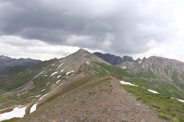 Saint-Dalmas-le-Selvage, 19.6.2023
Alpes Maritimes, Cime de Vermillon, Col de Raspaillon a Cime de Voga.
Keywords: Saint-Dalmas-le-Selvage Col de Raspaillon Cime de Vermillon Anostirus gabilloti