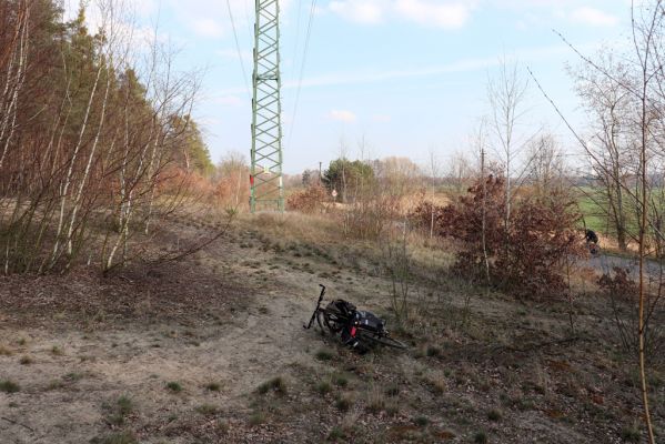 Labské Chrčice, 18.3.2020
Merenda - duna pod elektrovody.
Klíčová slova: Labské Chrčice Merenda duna Dicronychus equisetioides Cardiophorus asellus