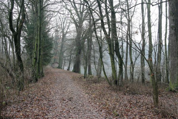 Miletín, 19.12.2015
Miletínská bažantnice, rybník Povolír.


Klíčová slova: Miletín Miletínská bažantnice rybník Povolír