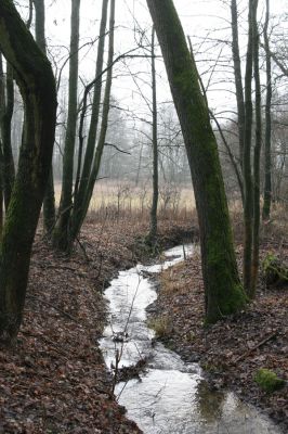 Miletín, 19.12.2015
Miletínská bažantnice, Bubnovka u Povolíra.



Klíčová slova: Miletín Miletínská bažantnice rybník Povolír