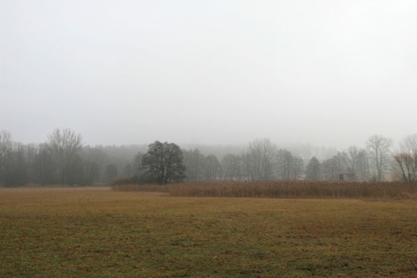 Miletín, 19.12.2015
Miletínská bažantnice. Louky u Žižkových dubů.



Klíčová slova: Miletín Miletínská bažantnice