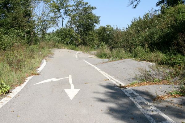 Miňovce - Breznica, 18.9.2014
Takhle to vypadá, když se do Ondavy sesune část kopce (vrch Baranov).



Klíčová slova: Miňovce Breznica řeka Ondava