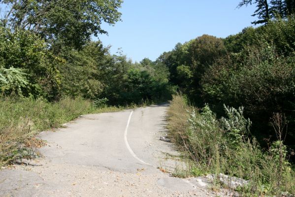 Miňovce - Breznica, 18.9.2014
Takhle to vypadá, když se do Ondavy sesune část kopce (vrch Baranov).



Schlüsselwörter: Miňovce Breznica řeka Ondava