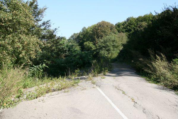 Miňovce - Breznica, 18.9.2014
Takhle to vypadá, když se do Ondavy sesune část kopce (vrch Baranov).



Mots-clés: Miňovce Breznica řeka Ondava
