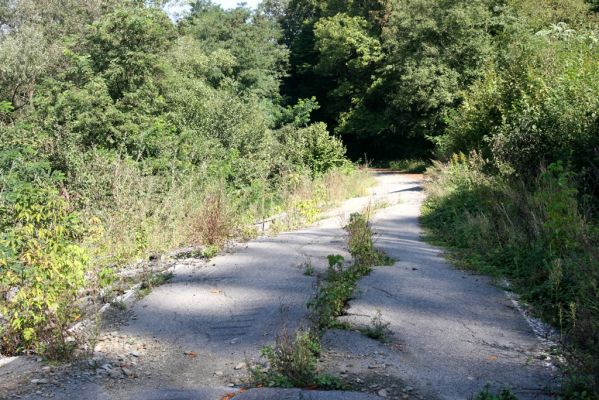 Miňovce - Breznica, 18.9.2014
Takhle to vypadá, když se do Ondavy sesune část kopce (vrch Baranov). 
Klíčová slova: Miňovce Breznica řeka Ondava