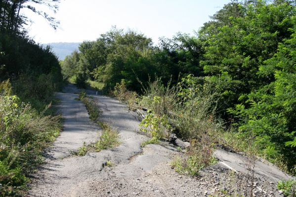 Miňovce - Breznica, 18.9.2014
Takhle to vypadá, když se do Ondavy sesune část kopce (vrch Baranov).


Klíčová slova: Miňovce Breznica řeka Ondava