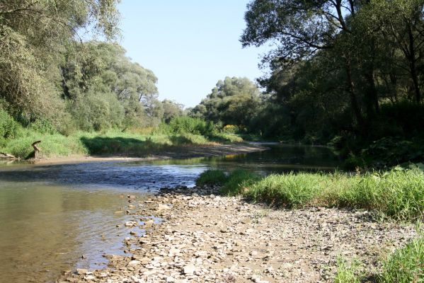 Miňovce, 18.9.2014
Meandry Ondavy.
Mots-clés: Miňovce řeka Ondava