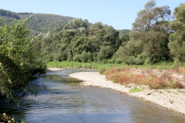 Miňovce, 18.9.2014
Meandry Ondavy.

Mots-clés: Miňovce řeka Ondava