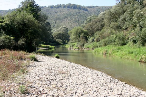 Miňovce, 18.9.2014
Meandry Ondavy.



Klíčová slova: Miňovce řeka Ondava