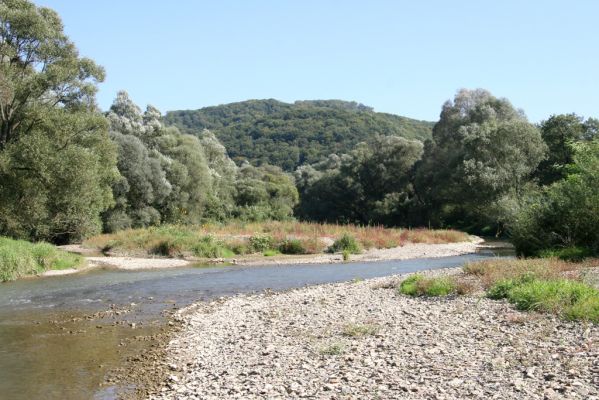 Miňovce, 18.9.2014
Meandry Ondavy.



Klíčová slova: Miňovce řeka Ondava