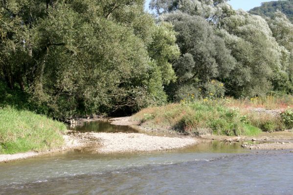 Miňovce, 18.9.2014
Meandry Ondavy.



Klíčová slova: Miňovce řeka Ondava