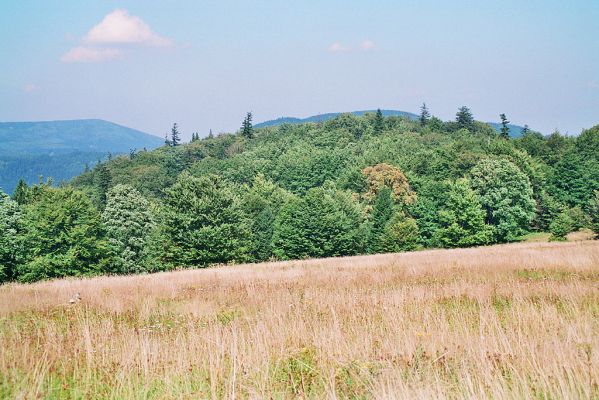 Horní_Lomná-Mionší-9.9.2005
Pohled  z Velké polany na Menší vrch. Živých jedlí je zde již jen pár. Jejich čas se naplňuje. Zůstanou jen vzpomínky na krásu a majestát lesních královen.
Mots-clés: Horní Lomná Mionší Velká polana Menší vrch jedle