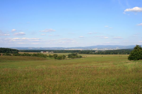 Mochov, 30.8.2007
Pohled od Jílovic na Vranov a lesní komplex Mochovské bažantnice. V pozadí Dobrošov a hřbet Orlických hor.
Klíčová slova: České Meziříčí Mochov Vranov Mochovská bažantnice Dobrošov Orlické hory