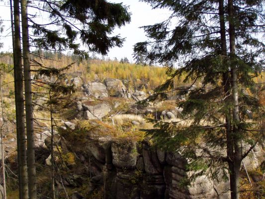 Suchý Důl, 25.10.2004
Broumovské stěny - Modrý kámen.
Schlüsselwörter: Suchý Důl Broumovské stěny Modrý kámen Ampedus karpathicus