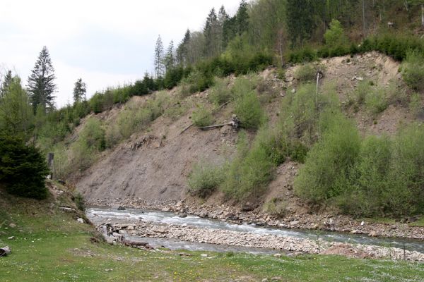 Ruska Mokra, 30.4.2009
Suté břehy nad levým břehem řeky Mokrjanky.
Klíčová slova: Ruska Mokra Mokrjanka